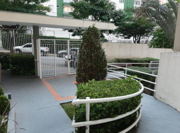 Imagem Apartamento com 2 Quartos à Venda,  em Vila Amélia - São Paulo