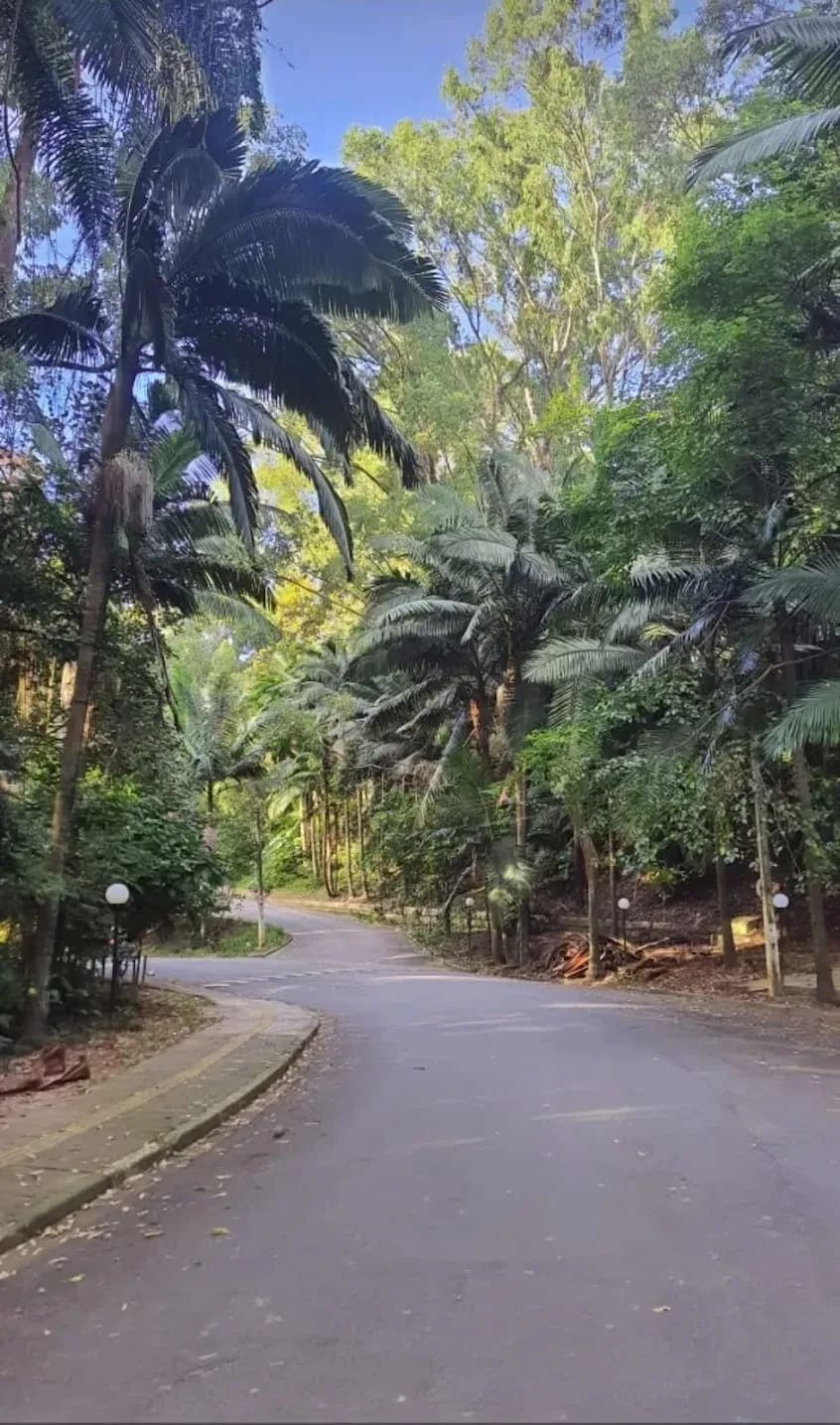 Foto do imóvel: Apartamento com 2 Quartos à Venda, 46 m² em Jardim Catanduva - São Paulo