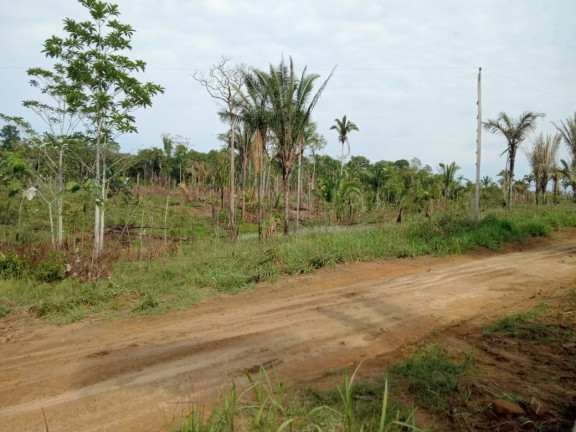 Terreno à Venda, 2.000 m² em Zona Rural - Humaitá