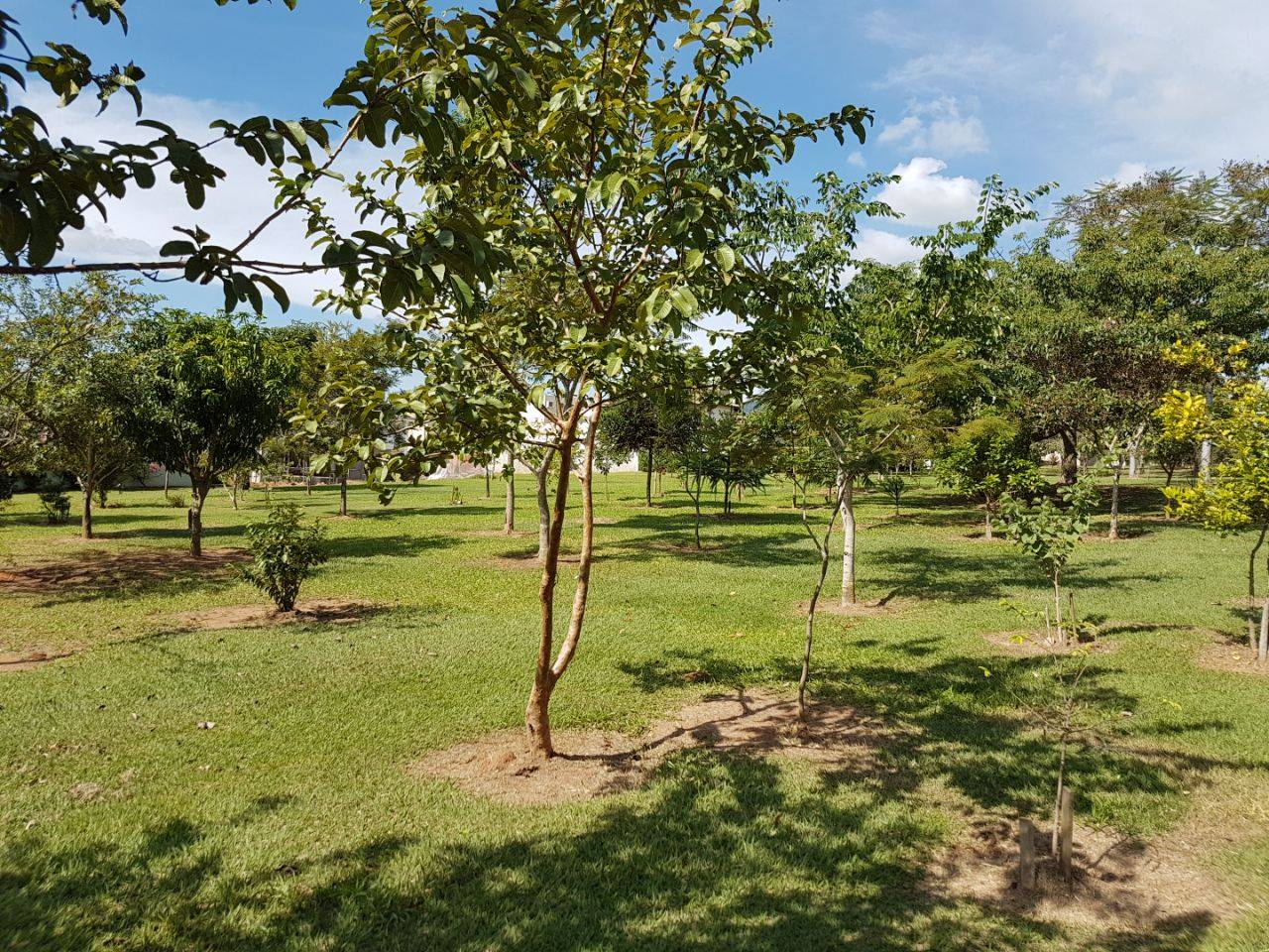 Imagem Terreno em Condomínio à Venda, 515 m² em Condomínio Reserva da Serra - Jundiaí