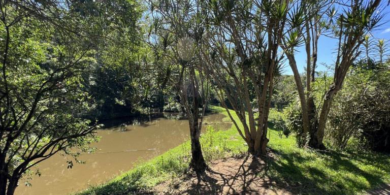 Imagem Chácara com 4 Quartos à Venda, 46.000 m² em Centro - Santa Isabel