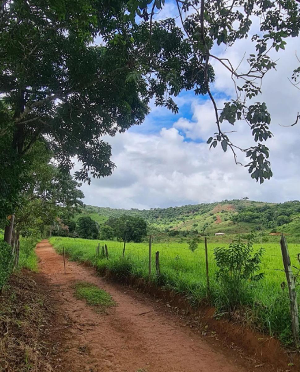 Foto do imóvel: Chácara com 3 Quartos à Venda, 62.000 m² em Centro - Rio Casca