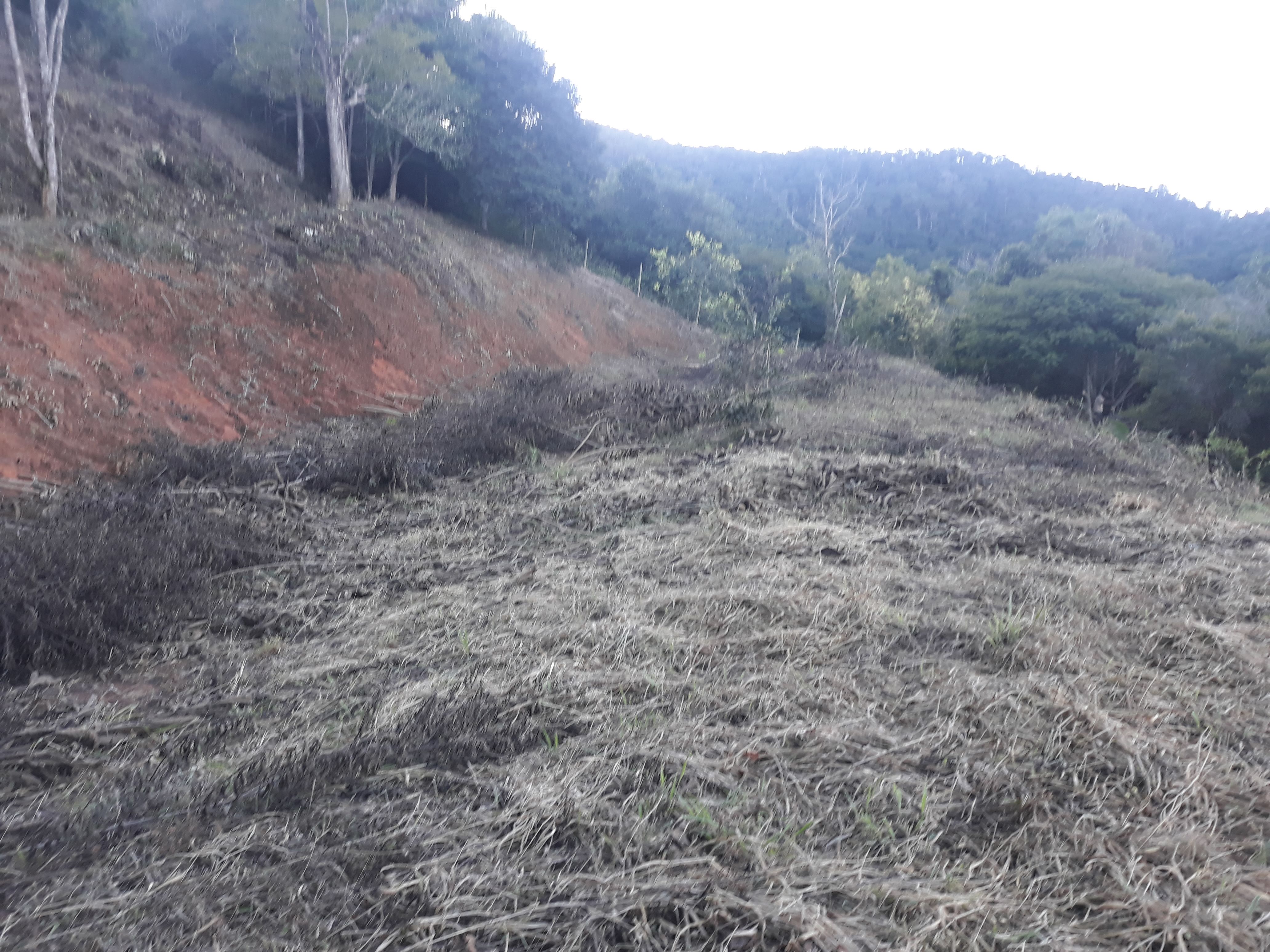 Imagem Terreno à Venda, em Torreões - Juiz de Fora