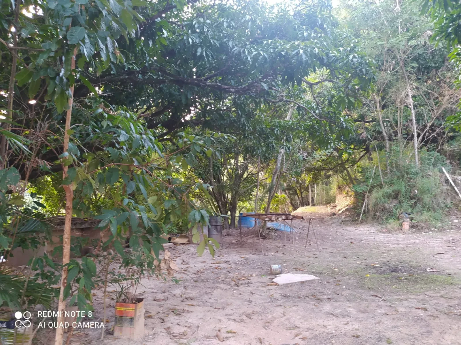 Foto do imóvel: Chácara com 5 Quartos à Venda, 8000 m² em Ravenópolis (Ravena) - Sabará