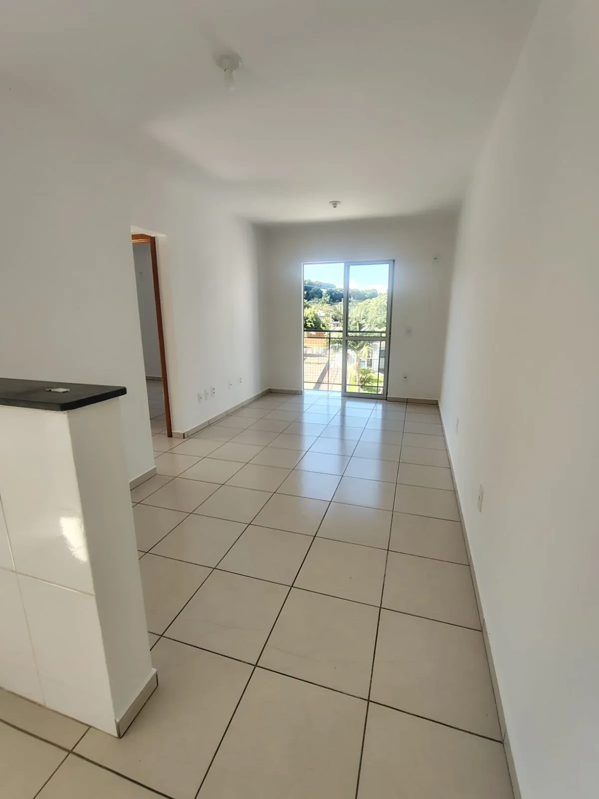Imagem Apartamento com 2 Quartos à Venda, 48 m² em Santa Paulina - Chapecó