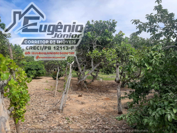 Imagem Chácara com 2 Quartos à Venda, 1.600 m² em Zona Rural - São José de Piranhas