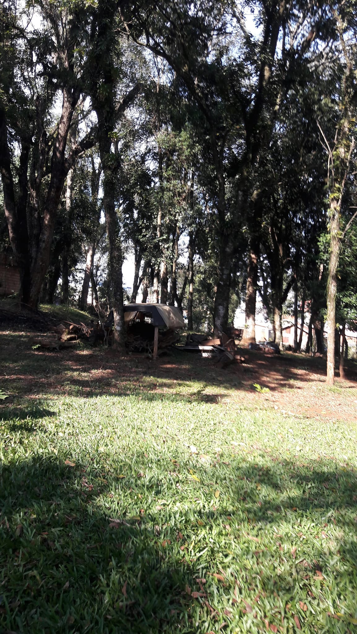 Foto do imóvel: Terreno à Venda, 3.200 m²em Efapi - Chapecó