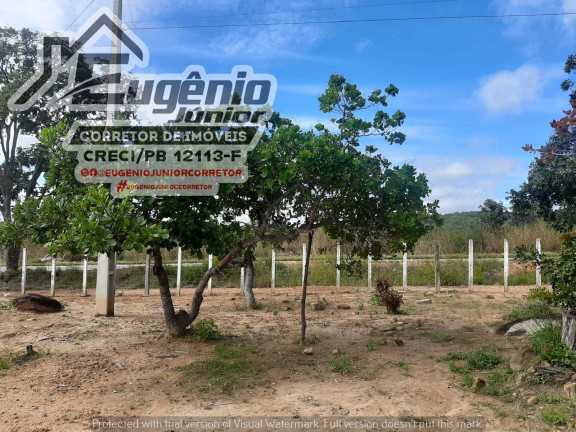 Imagem Chácara com 2 Quartos à Venda, 1.600 m² em Zona Rural - São José de Piranhas