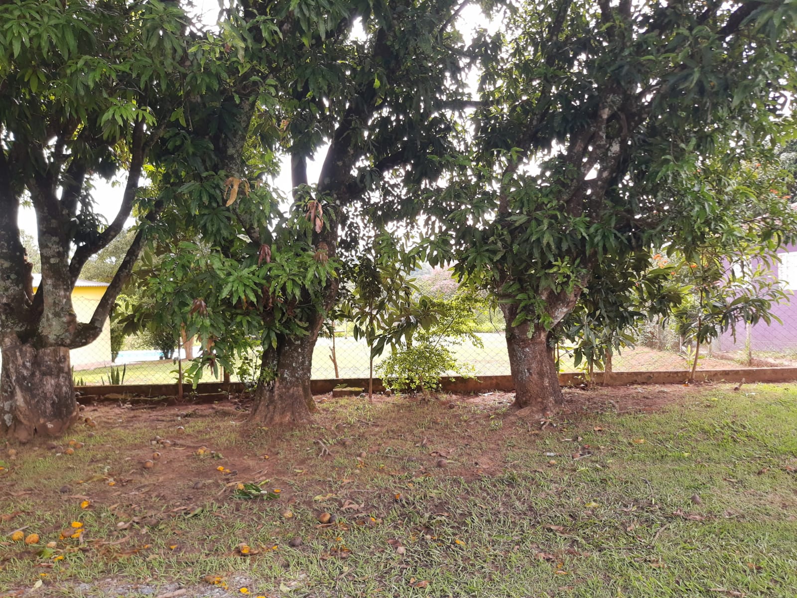 Imagem Terreno à Venda, 2 m²em Portal de Pirapora - Salto de Pirapora