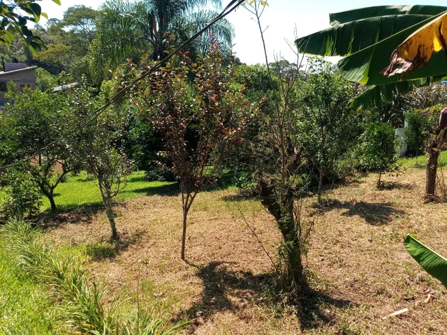 Imagem Chácara com 3 Quartos à Venda, 125 m²em Conceição - São Sebastião do Caí