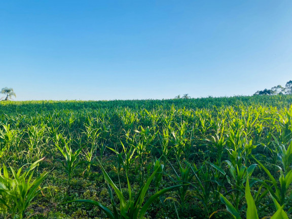 Imagem Terreno em Condomínio à Venda, 500 m² em DONA CATARINA - Mairinque