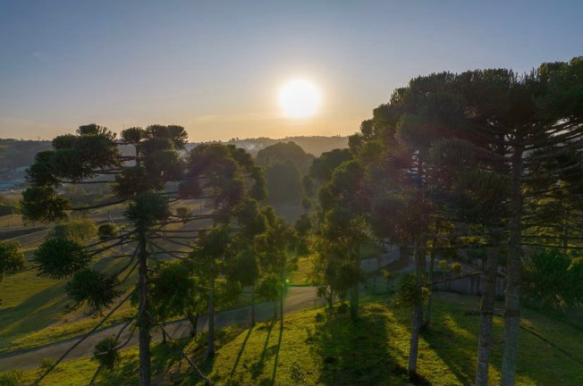 Imagem Terreno em Condomínio à Venda, 711 m² em Butiatuvinha - Curitiba