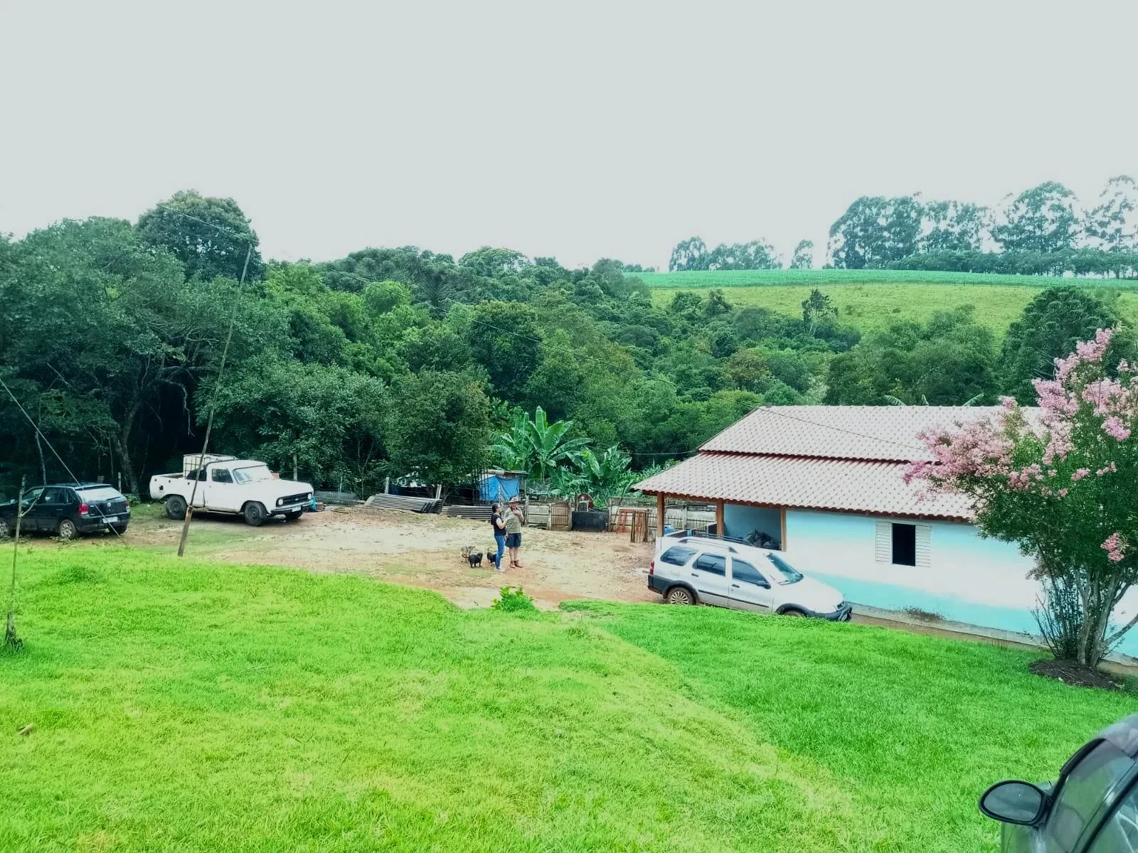 Imagem Fazenda à Venda, 5 Alq. MG em Caldas - Caldas