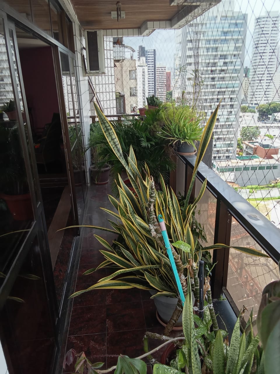 Imagem Apartamento com 4 Quartos à Venda, 253 m² em Umarizal - Belém