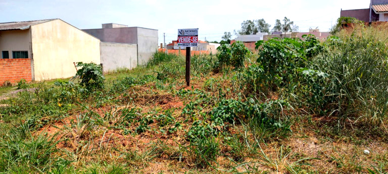 Terreno à Venda, 200 m²em pioneiros - Espigão D'Oeste