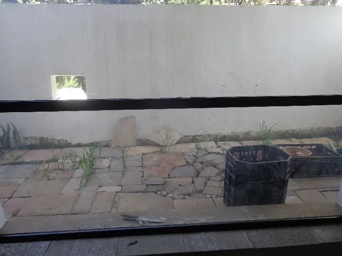 Imagem Galpão à Venda ou Locação, 1000 m² em Vila Andrade - São Paulo