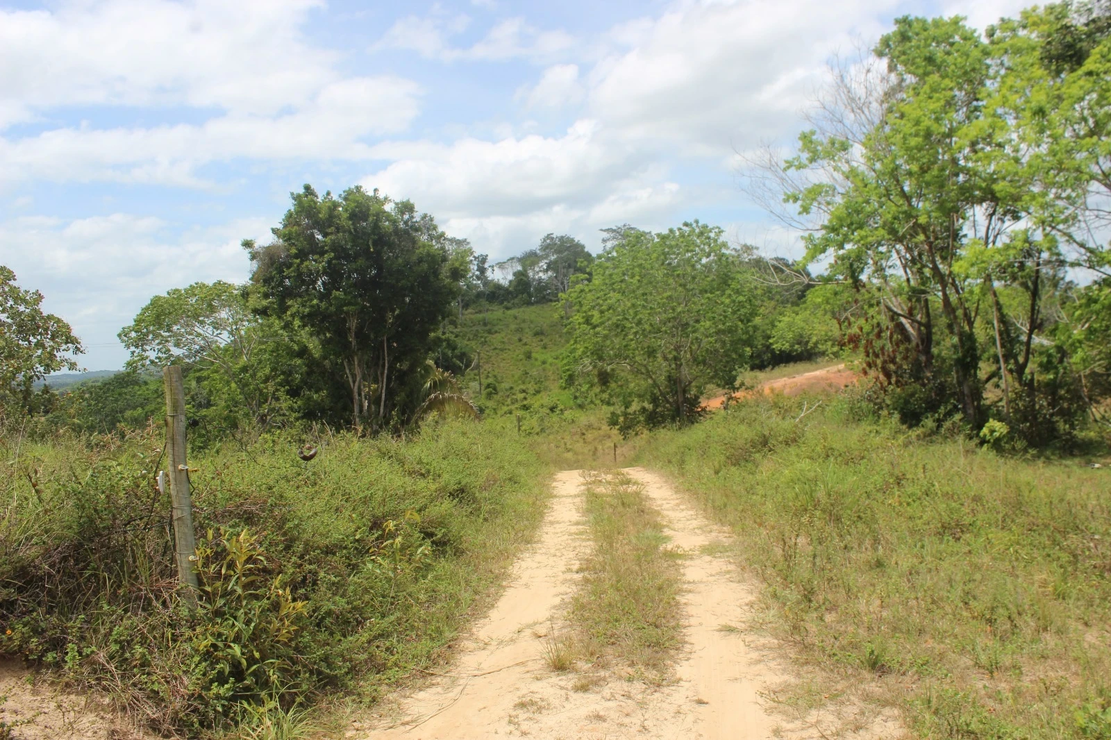 Foto do imóvel: Chácara com 2 Quartos à Venda, 20100 m² em Mata de São João - Mata de São João