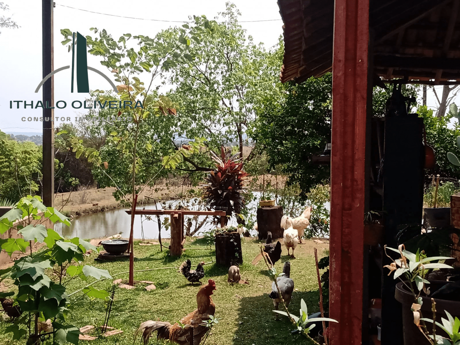 Imagem Chácara com 8 Quartos à Venda, 29 m²em Zona Rural - Paranaiguara
