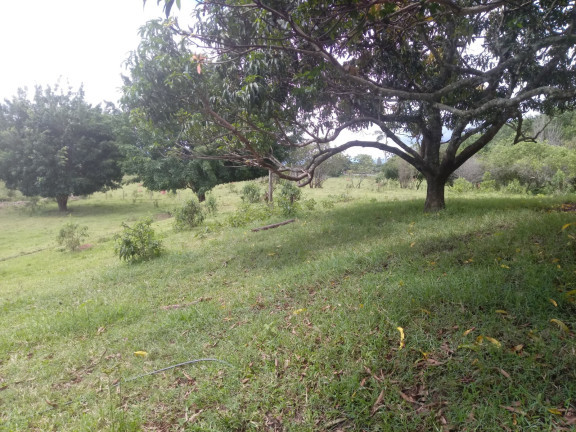 Imagem Chácara com 2 Quartos à Venda, 25.000 m² em Jardim Palmeiras - Caçapava