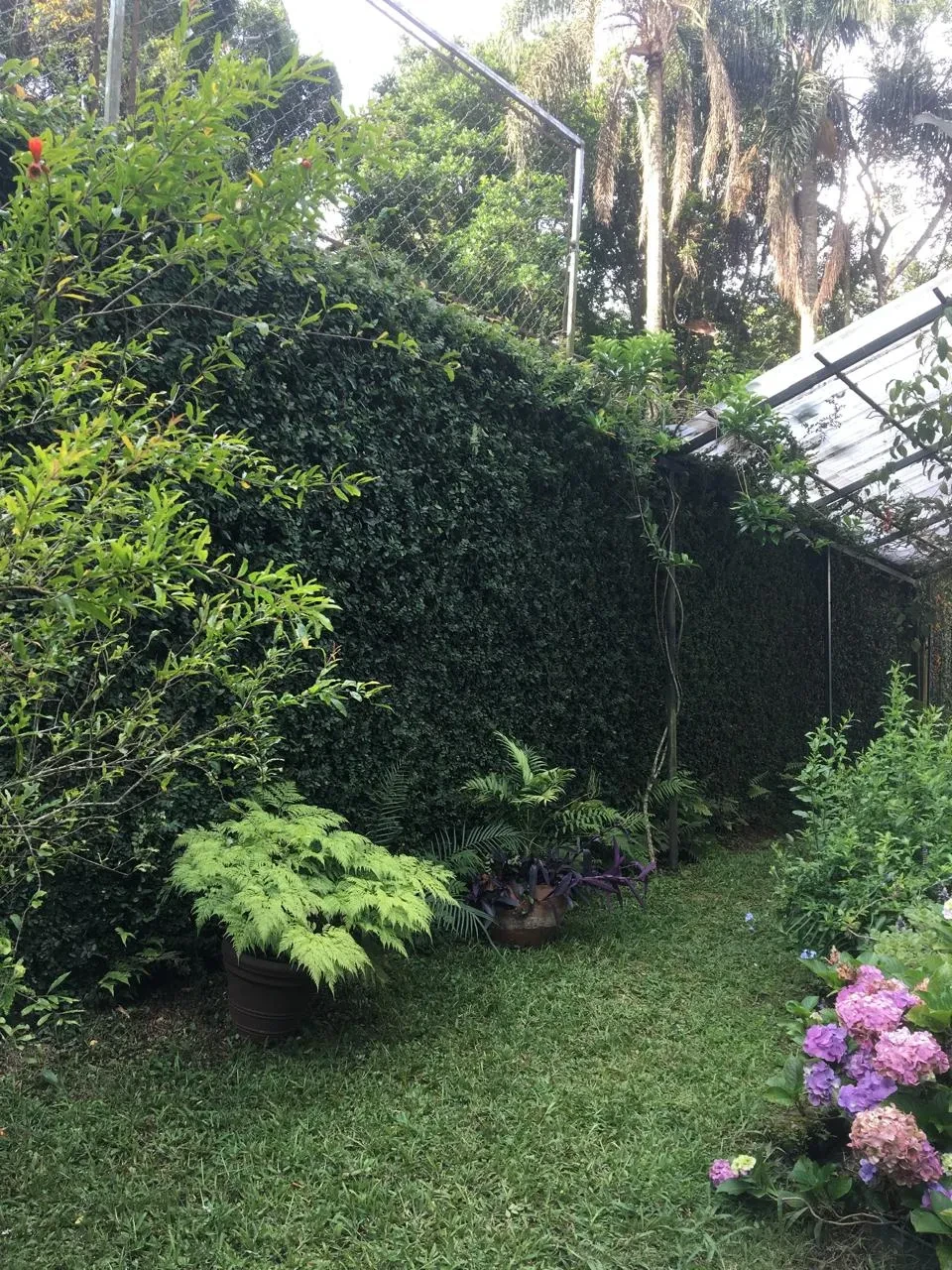 Imagem Casa com 3 Quartos à Venda, 290 m² em Centro - Embu das Artes