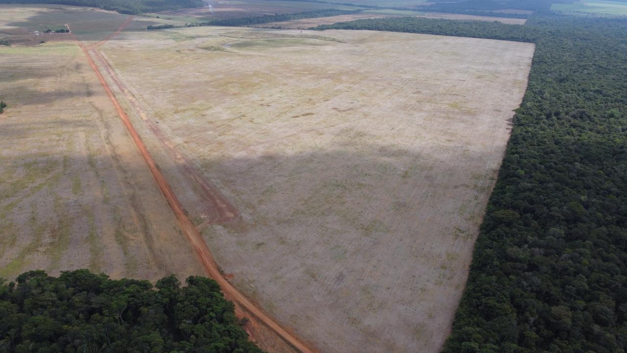 Imagem Fazenda à Venda, 400 Alq. GO em ZONA RURAL - Confresa