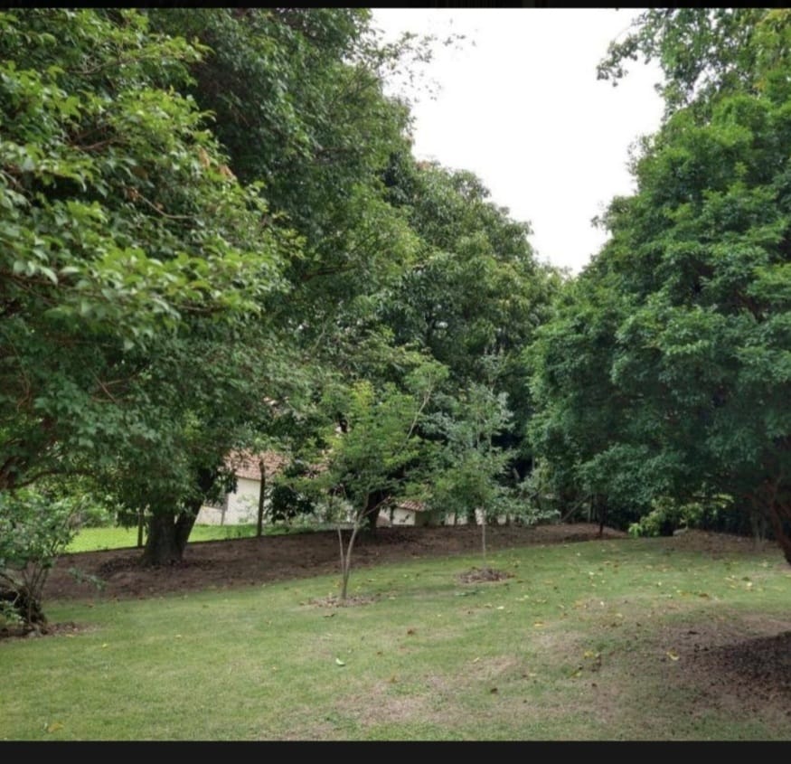 Foto do imóvel: Chácara com 3 Quartos à Venda, 186 m²em Colinas do Castelo - Jaguariúna