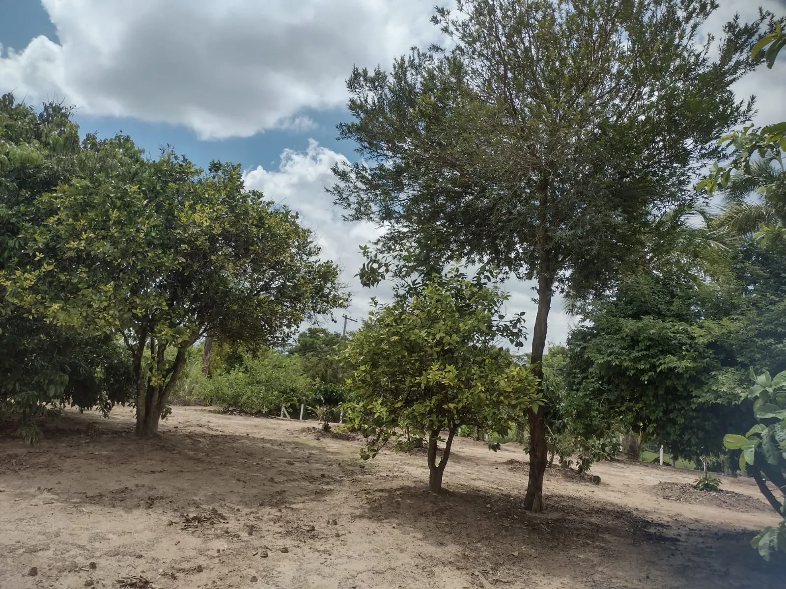 Imagem Chácara com 3 Quartos à Venda, 1200 m² em City Castello - Itu