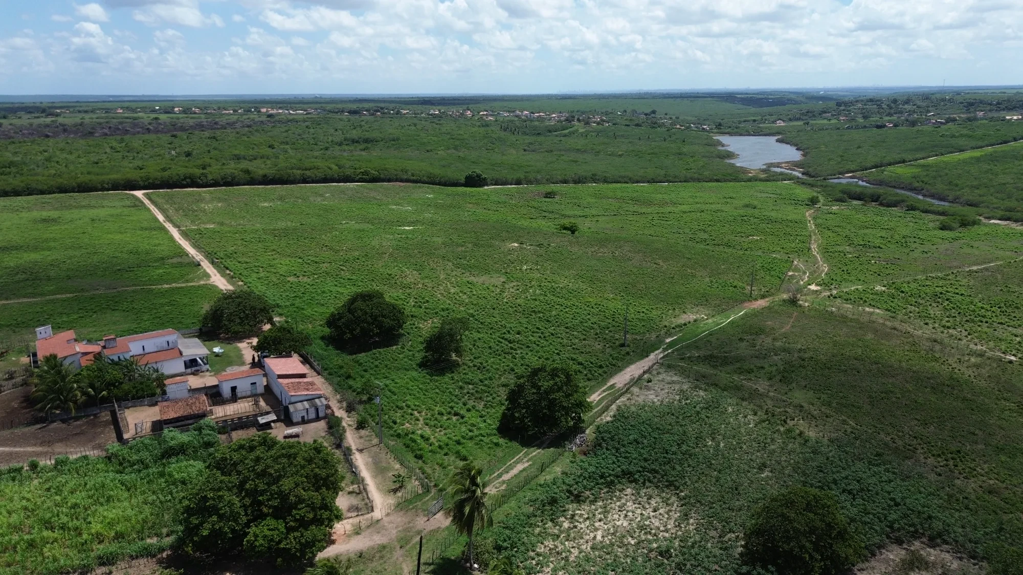 Foto do imóvel: Fazenda à Venda, 100 HA em Fabrício Pedroza - Macaíba
