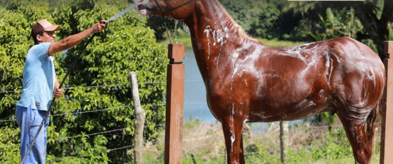 Imagem Terreno à Venda, 525 m² em BR - Simões Filho