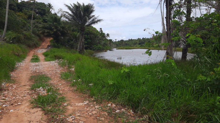 Imagem Terreno à Venda, 300 m²em Barra do Jacuípe - Camaçari