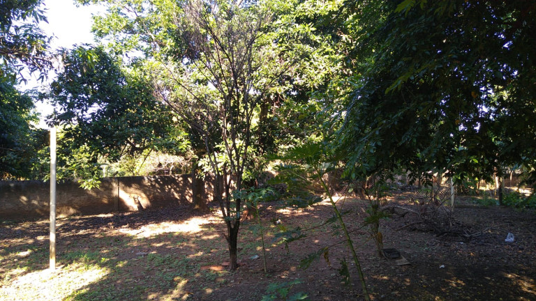 Imagem Chácara com 4 Quartos à Venda, 300 m² em Jardim do Trevo - Araçatuba