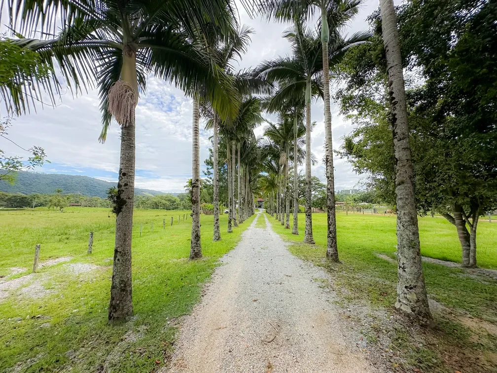 Foto do imóvel: Chácara com 3 Quartos à Venda, 15595 m² em Área Rural de Camboriú - Camboriú