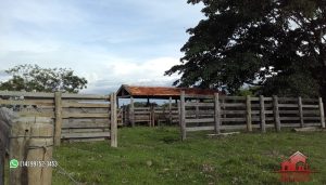 Imagem Fazenda à Venda, 74 Alq SPem ZONA RURAL - Garça
