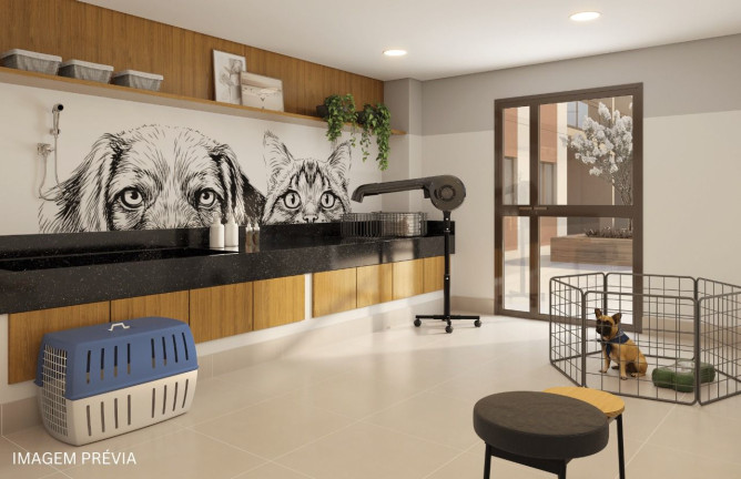 Imagem Apartamento com 3 Quartos à Venda, 70 m² em Santo Cristo - Rio de Janeiro