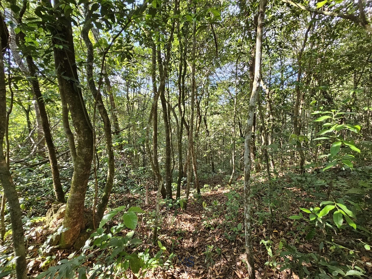 Imagem Fazenda à Venda, 18580 m² em Chácaras Ipanema - Valparaíso de Goiás
