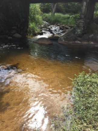 Imagem Fazenda à Venda, 20.000 m² em Vila Pontilhão - Cruzeiro