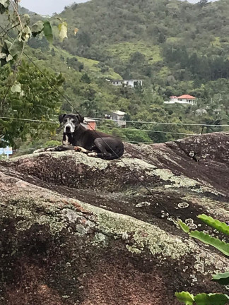 Foto do imóvel: Chácara com 3 Quartos à Venda, 9.202 m² em Canto dos Ganchos - Governador Celso Ramos