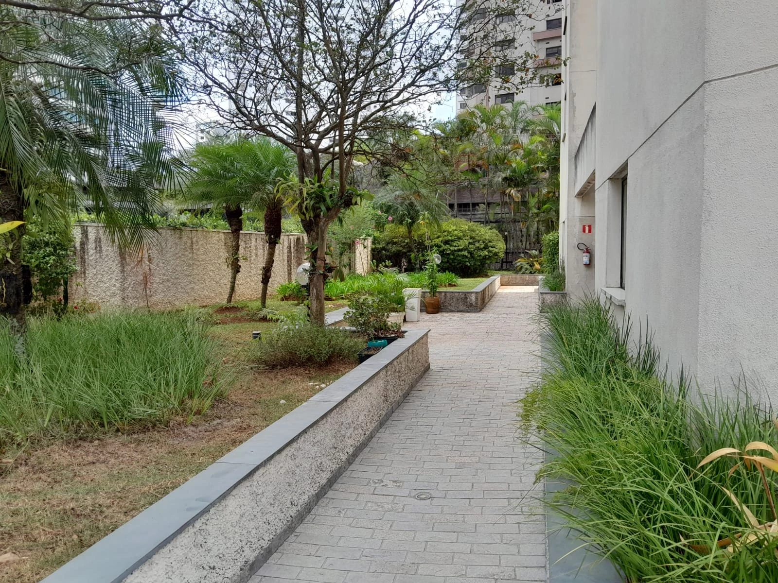 Imagem Apartamento com 2 Quartos à Venda, 80 m² em Vila Andrade - São Paulo