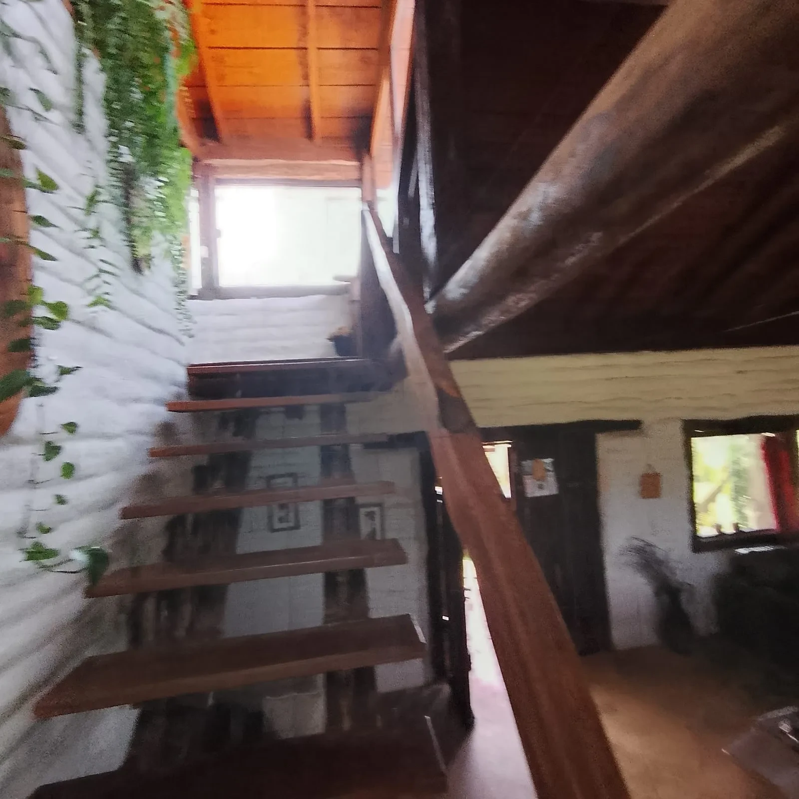 Foto do imóvel: Imóvel Comercial à Venda ou Locação, 10000 metros em Conceição da Ibitipoca - Lima Duarte