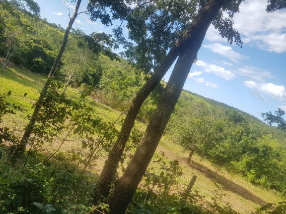 Imagem Fazenda à Venda,  em Área Rural - Padre Bernardo