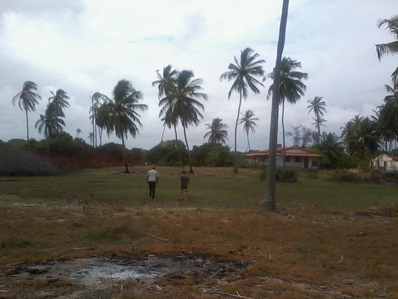 Imagem Terreno à Venda, 168.640 m² em Praia de Pititinga - Rio do Fogo