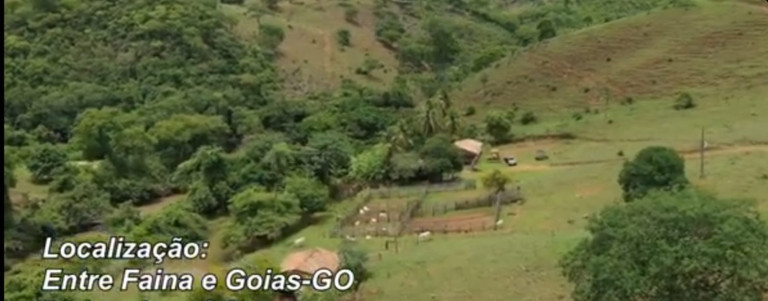 Imagem Fazenda à Venda, 54 Alq GOem Setor Central - Faina