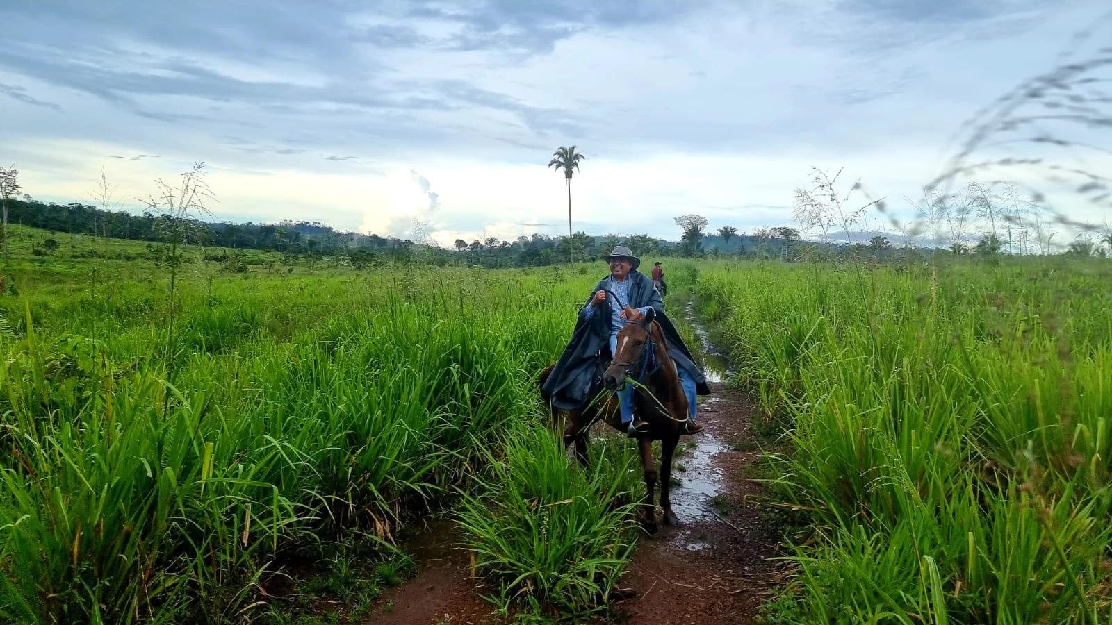 Foto do imóvel: Fazenda à Venda, 831 Alq. GO em Gurupá - Gurupá