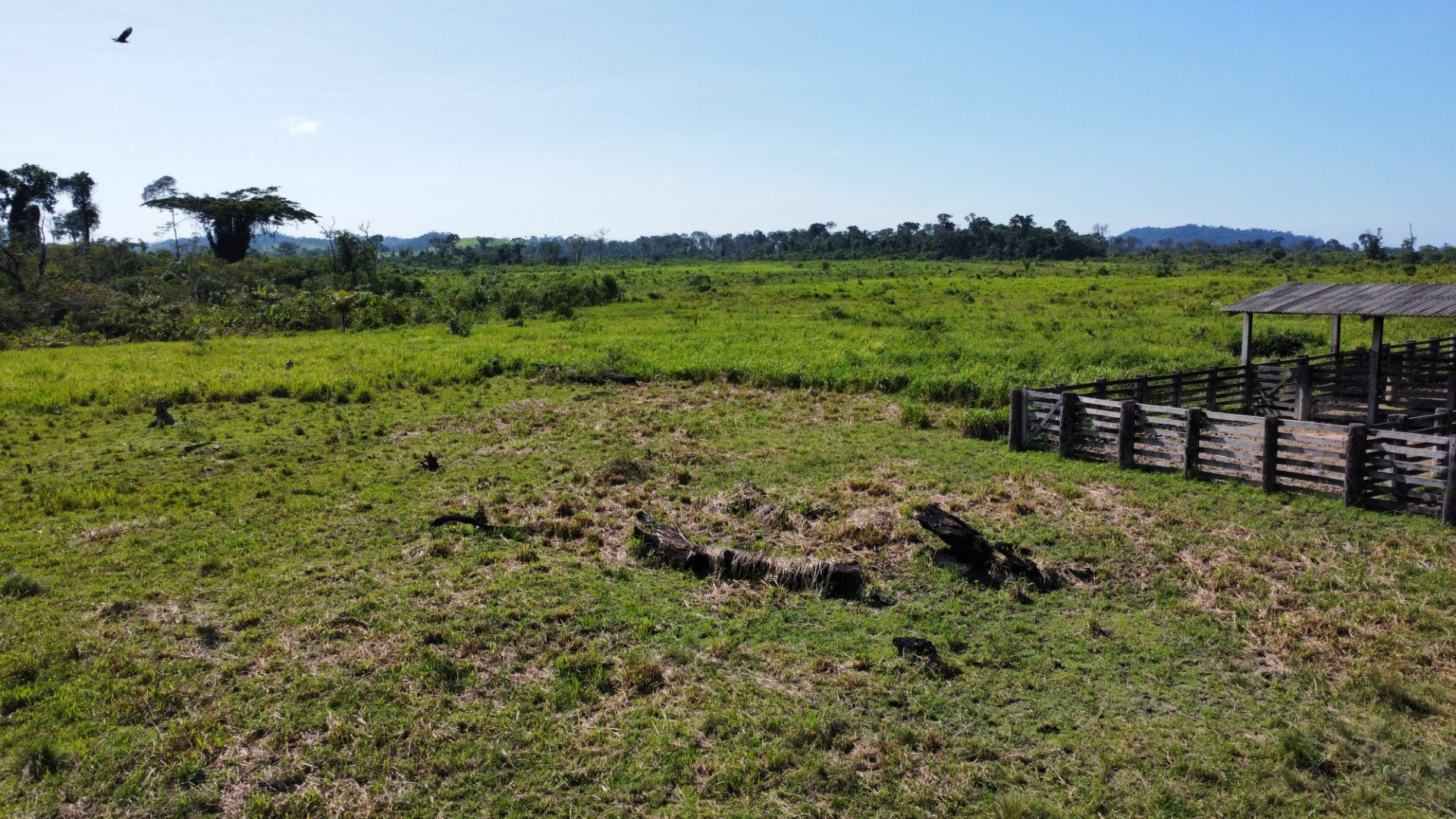 Foto do imóvel: Fazenda à Venda, 900 Alq MGem Centro  - São Félix do Xingu