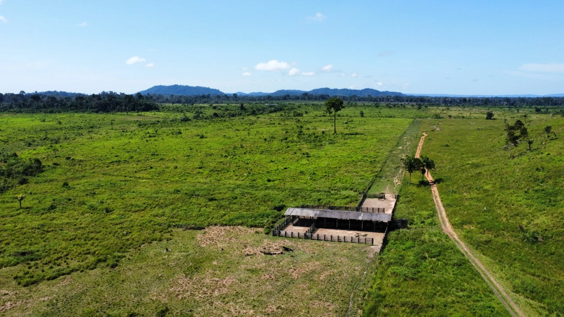 Foto do imóvel: Fazenda à Venda, 900 Alq. GO em São Félix do Xingu - São Félix do Xingu