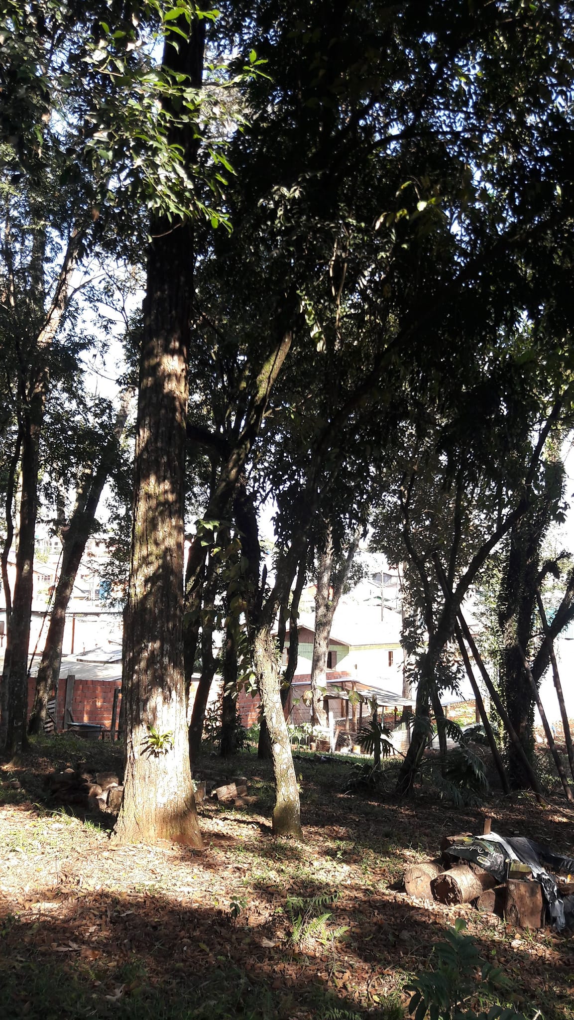 Foto do imóvel: Terreno à Venda, 3.200 m²em Efapi - Chapecó