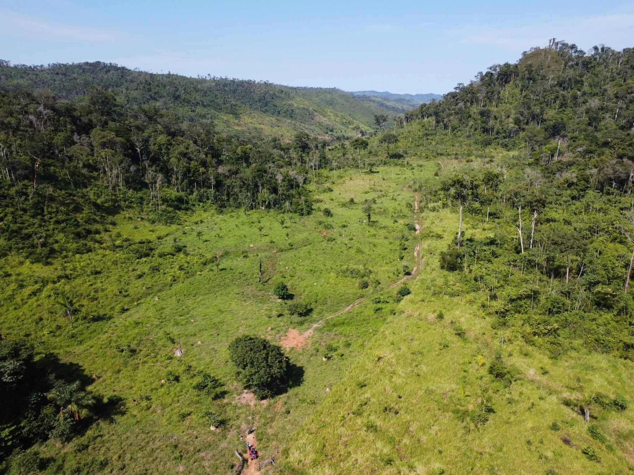 Foto do imóvel: Fazenda à Venda, 90 Alq. GO em São Félix do Xingu - São Félix do Xingu