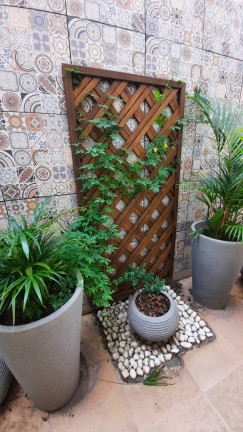 Imagem Apartamento com 3 Quartos à Venda, 260 m² em Sagrada Família - Belo Horizonte