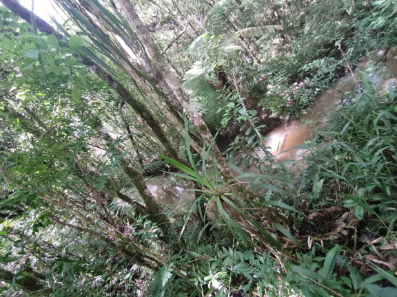 Chácara com 2 Quartos à Venda, 19.960 m² em LAGOA DOS SOUZA - Agudos do Sul