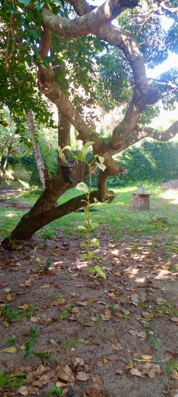 Imagem Casa com 3 Quartos à Venda, 200 m² em Barra do Jucu - Vila Velha